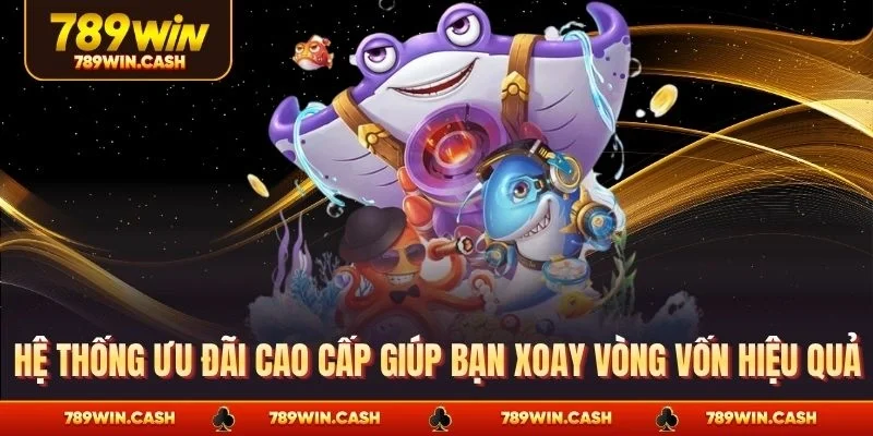 Hệ thống ưu đãi cao cấp giúp bạn xoay vòng vốn hiệu quả
